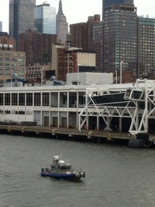 NYPD cruising for a bruising