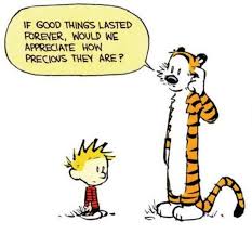 calvin and hobbs